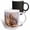Multicolor, variant on 3drose, Funny Squirrel Sits on a Tree Branch and Eats a Hazel Nut, 15oz Mug