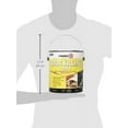 Zinsser Series 305928 1G Odorless Paint Primer with Odor Killing