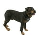 thumbnail image 4 of Estatua de perro cachorro de pie, figura decorativa duradera y muy detallada para escritorio. rottweiler, 4 of 9