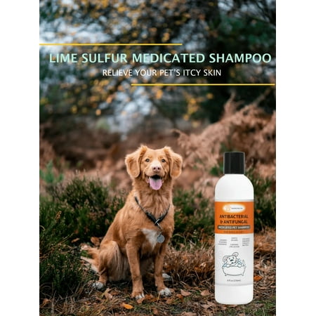 Lime Sulfur Pet Shampoo