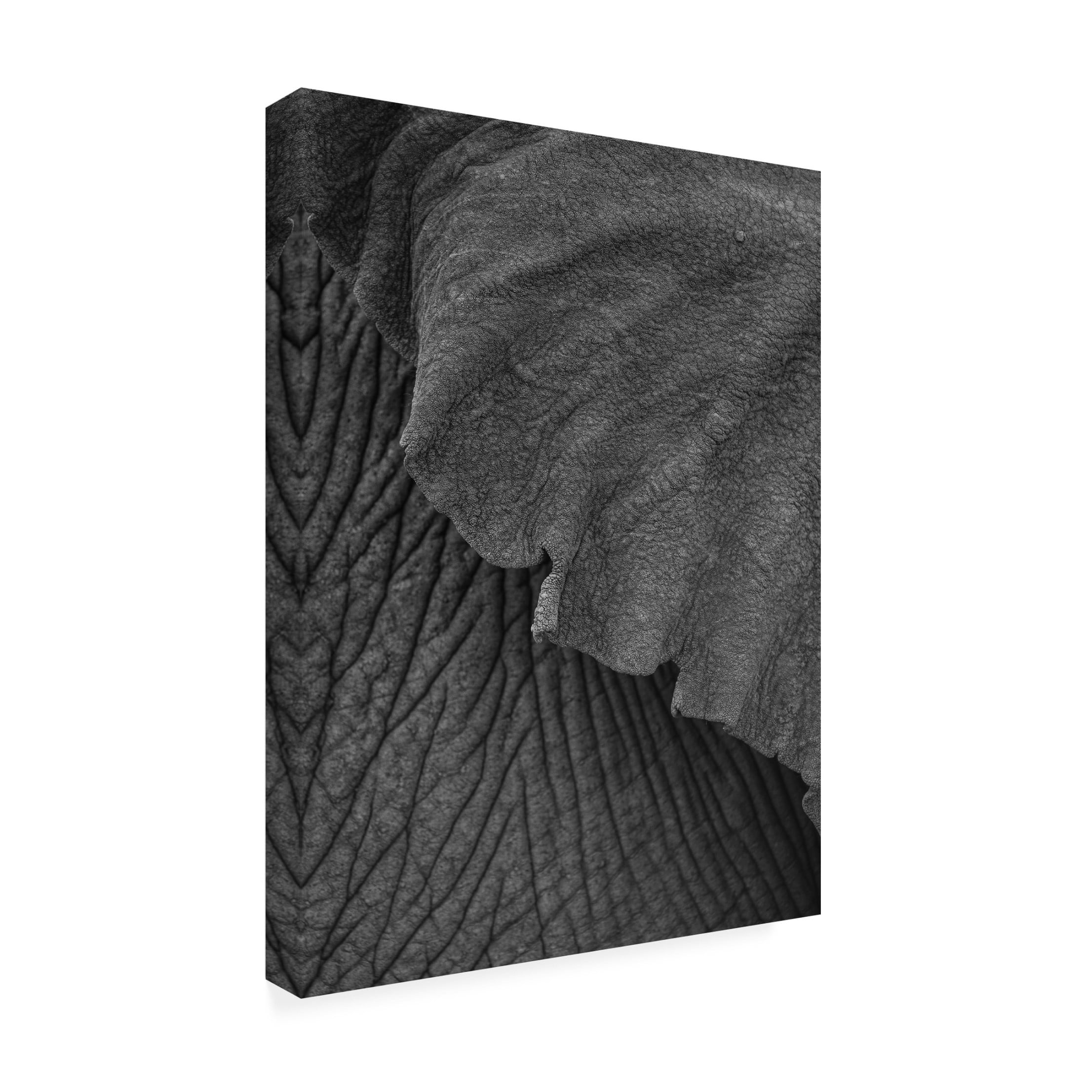 Trademark Fine Art Shot by Clint Olifant 02 Canvas Wall Art
