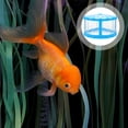 thumbnail image 2 of CIMAXIC Blue Plastic Fish Tank for Home Decor with Simple Design and High Transparency 2 Pieces,5.71"X5.12"X3.35", 2 of 5
