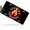 Flaming Feminist Logo, variant on License Plate, Flaming Feminist Logo Decorative Front,Personalized Stainless Steel License Plate Cover For Men Women,12.2" X 6.2"