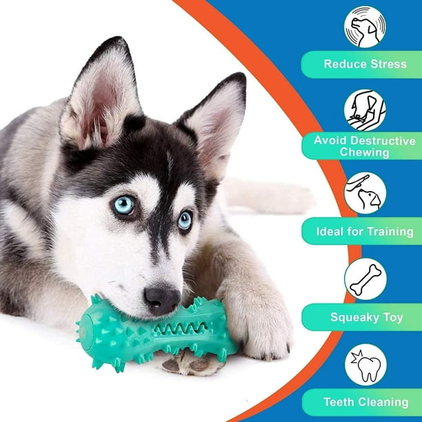 Toothbrush Dog Chew Toys for Dogs Cleaning Teeth Brushing Teeth Teething Chew Toys Teeth Oral Care for Small Medium and Large Dogs Blue Walmart