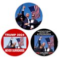 thumbnail image 3 of 2024 Trump Lapel Pins Mochila Insignia Foto Broche Cristal Recuerdo (Estilo C), 3 of 8