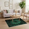 thumbnail image 3 of ODIKA 4'x6' Green Black Vintage Ornamental Cottagecore Washable Area Rug Distressed Floral Scroll Center Emblem Witchy Moody Layout for Home Office, Under Desk, Non-Slip Chair-Friendly, Flatwoven, 3 of 7