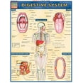 thumbnail image 1 of Pre-Owned Digestive System (Quick Study Academic), 9781572225251, 1572225254, Paperback, Student edition, 1 of 1