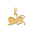 thumbnail image 3 of 14k Yellow Gold Lion Pendant for Men and Unisex Wear, Polished Textured Animal Necklace Symbolizing Strength Courage Leadership, Bold Leo Zodiac Jewelry, 3 of 6
