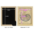 thumbnail image 4 of Seashell Ephemera II - Framed Print w/glass - Natural Wood, 4 of 7