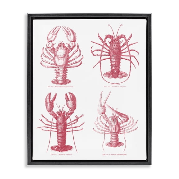 Timeless Lobsters Species Black Framed Floater Canvas Wall Art, design by Lettered and Lined
