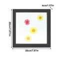 thumbnail image 3 of Tignapoo Double-Sided Glass Photo Frame for Dried Flowers - Black Square 8 Inch (20x20cm) DIY Display, 3 of 6