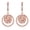 Rose Gold, variant on 18K White Gold Plated Drop Earrings for Women S925 Sterling Silver Post Hypoallergenic Leverback Dangle Earrings Birthday Graduation Jewelry Gifts Teen Mom Girlfriend Wife Age Ideas