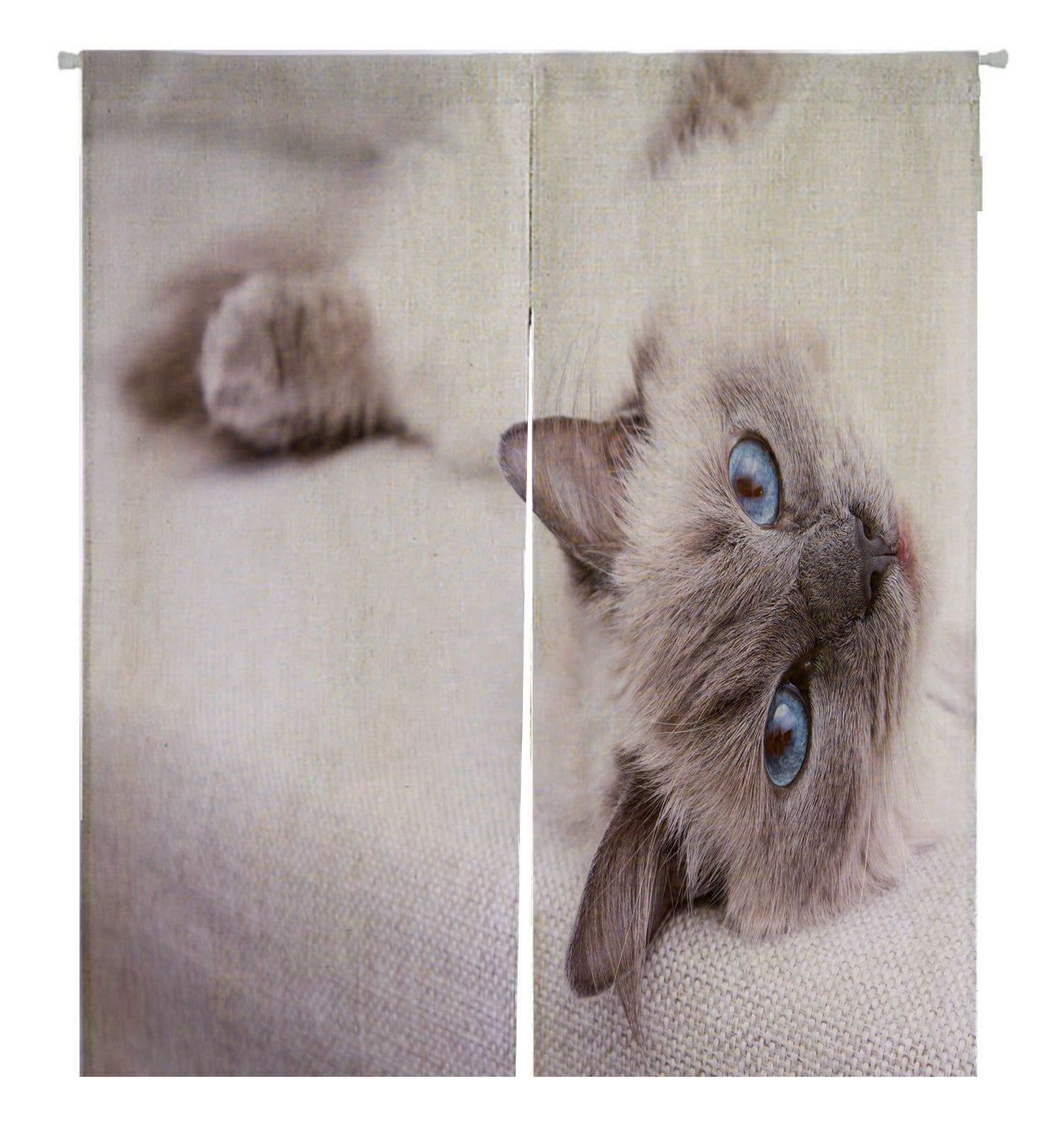 Cat Teacher Decor Japanese Noren Door Curtain Featuring Cloth Rare Cotton Linen 