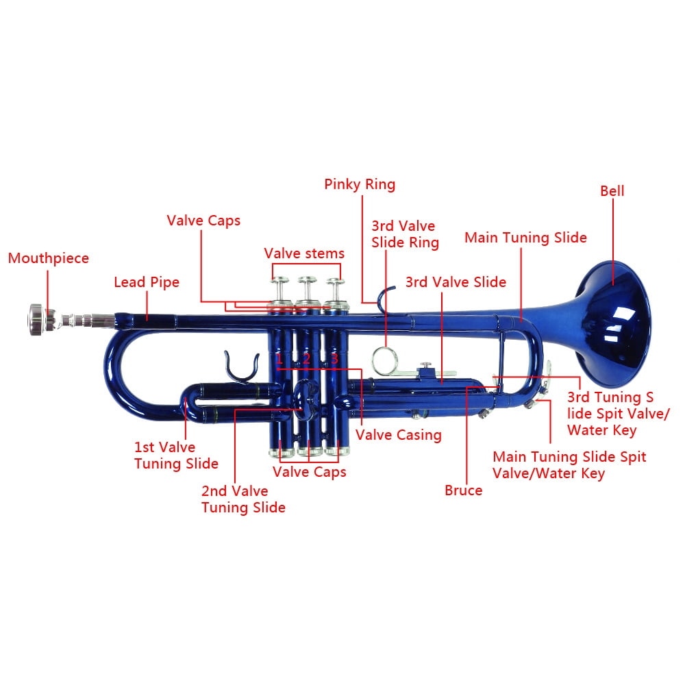 Tcbosik Brass B Flat Trumpet with Mouth of Trumpet and Carring Case for Beginner Students, Blue