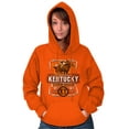 thumbnail image 3 of Kentucky Racing Horses Southern Pride Unisex Plus Fleece Graphic Hoodie Brisco Brands 2X, 3 of 5