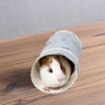 thumbnail image 4 of Animal Tunnel Tube Juguetes Suministros para mascotas Para hurones Azul 19x10CM Zulema Túneles de conejillos de Indias, 4 of 8