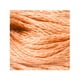 thumbnail image 2 of Caja 12 Pzs Hilo Beige Medio Algodón Egipcio Anchor Vela Coats Anchor Vela T5477-0368, 2 of 2