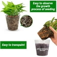 thumbnail image 2 of Bexikou 30 Pack Plants Nursery Pot,Soft Clear Plastic Planter,5 Sizes Seed Starting Pots Flower Plant Pots with Drainage Hole Plant Container for Seedlings Succulent Vegetable, 2 of 8
