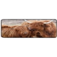 thumbnail image 5 of Dreamtimes Highland Cow Cattle Hallway Runner Rug 2'x6' Kitchen Rug with Rubber Backing Animal Meadow Non Slip Entryway Rug Runner Washable Soft Area Rug for Hallway Bedroom Kitchen Decor, 5 of 6