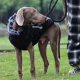 thumbnail image 4 of Plus Size Pet Dog Winter Warm Coat Jacket Reflective Outdoor Clothes Plush Neck Vest, 4 of 5