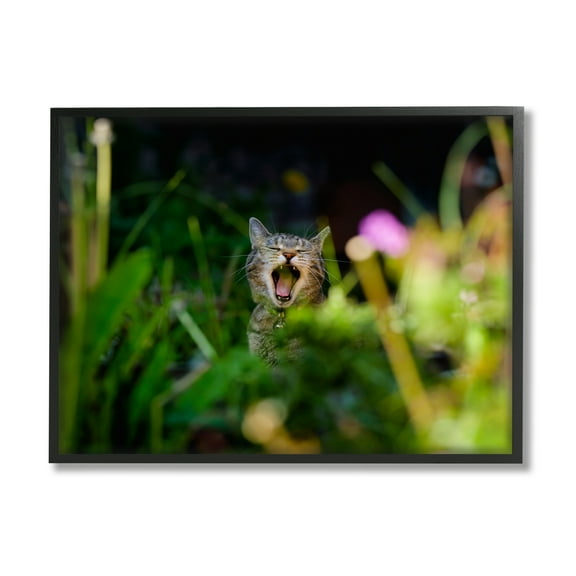 Stupell Industries Yawning Cat in Grass Animals & Insects Photography Black Framed Art Print Wall Art, 14 x 11