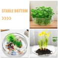 thumbnail image 3 of Glass Planter Pot Glass Succulents Pot Small Flowerpot Small Planter Container Clear Fish Bowl, 3 of 9