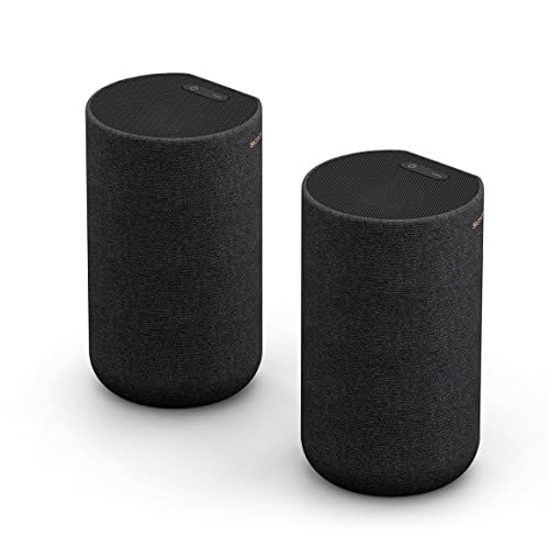 Sony rear speaker SA-RS5 built-in battery HT-A7000 compatible