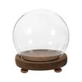 thumbnail image 3 of Clear Glass Dome Plant Flower Display Sphere with Base Micro Landscape Terrarium 18cm, 3 of 9
