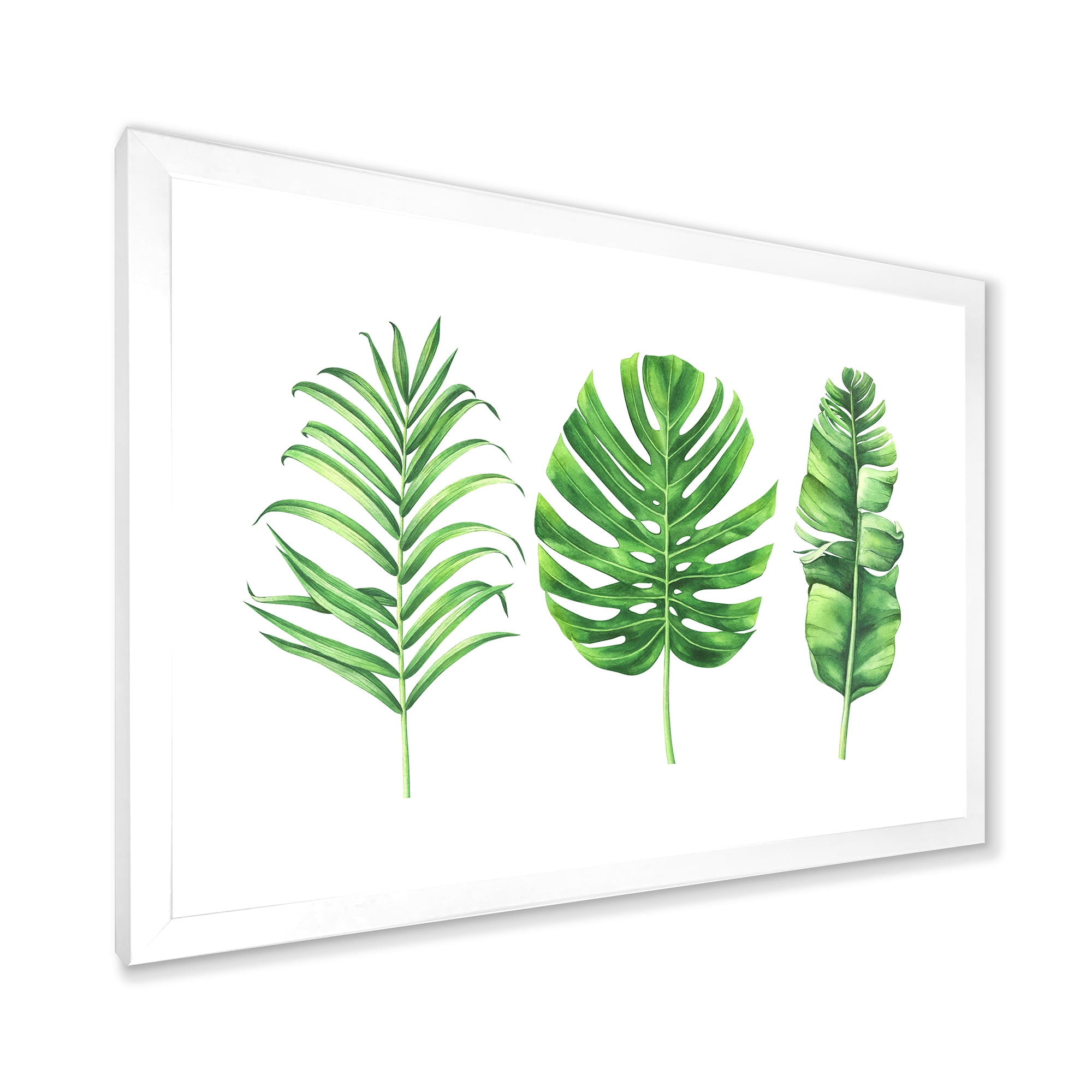 Designart 'Close Up Of Tropical Leaf Of Monstera IV' Farmhouse Framed Art Print