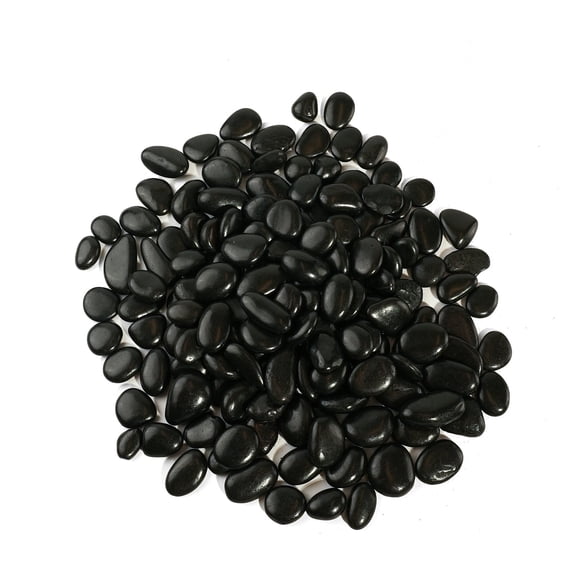 24 LBS River Rocks(2 x 12 lb Bags), StoneCreek, Decorative Garden Stones for Plant Landscaping, Polished Gravel Filler Pebbles, Vases, Succulents, Flower Beds and Fish Tanks (Black, Medium)