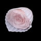 thumbnail image 5 of Kit de material de corona de bricolaje Soledad Guirnalda de flores artificiales, 5 of 10