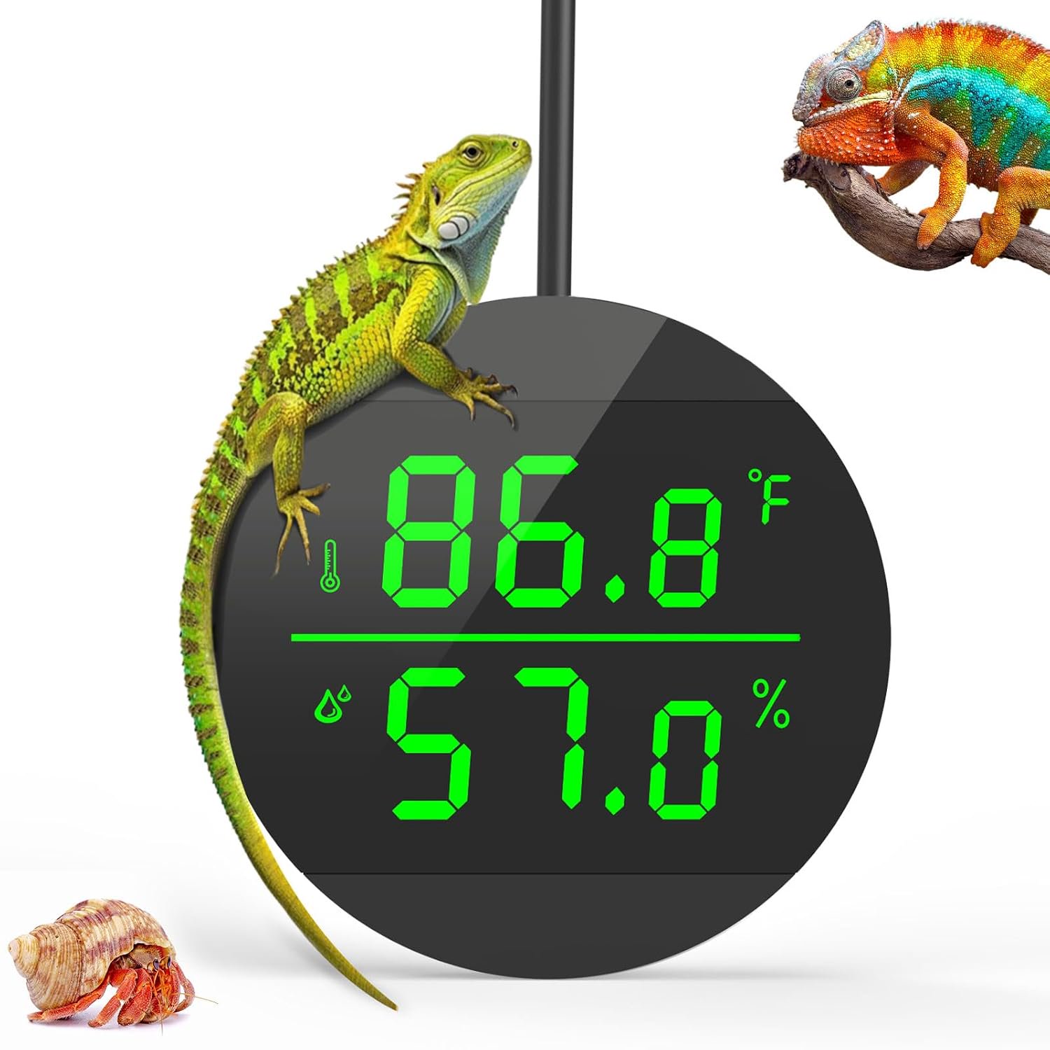 Reptile Tank Thermometer Hygrometer with LED Digital Display, USB Supply Temperature Humidity Monitor for Bearded Dragons, Crested Geckos, Snakes and Lizards