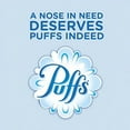 thumbnail image 3 of Puffs Plus Lotion Facial Tissues, 4 Family Boxes, 124 Tissuesper Box, 3 of 3