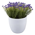 thumbnail image 2 of planta artificial decorativa con maceta blanca, 2 of 5