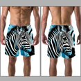 Aesthetic Zebra Art Pattern Men Beach Shorts with Elastic, Casual
