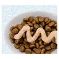 thumbnail image 4 of Caja con 192 Churu Atún con Salmón de 14 g (48 Sobres), 4 of 4
