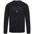 thumbnail image 2 of Men's Levelwear Black Detroit Tigers Zane Darkmoon Pullover Sweatshirt, 2 of 3