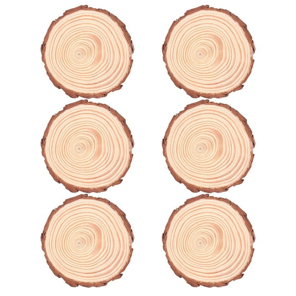 RUNROTOO Modern Coasters Wood Slices For Diy 6Pcs 3.15In Diameter
