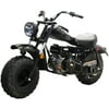 MASSIMO MINI BIKE 200, Four-Stroke, Fully Automatic Clutch