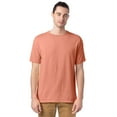 thumbnail image 1 of Hanes Mens Big ComfortWash Garment Dyed Short Sleeve Tee, S, Clay, 1 of 1