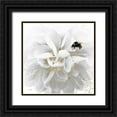 thumbnail image 1 of Sophie 6 20x20 Black Ornate Wood Framed with Double Matting Museum Art Print Titled - Nectar, 1 of 4