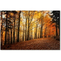 Trademark Fine Art "Autumn Leaves Pathway" Canvas Art by Philippe Sainte-Laudy