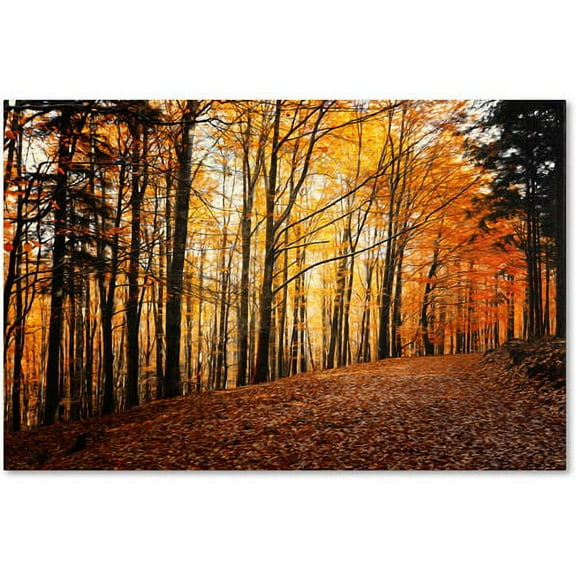 Trademark Fine Art "Autumn Leaves Pathway" Canvas Art by Philippe Sainte-Laudy