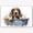American English Coonhound, variant on Nova Scotia Duck Tolling Retriever Cute Dog Cat in Bathtube Pictures Painting Prints, Funny Colorfull Animals Bathroom Wall Decor Pet Artworks Pet Gift Ready To Hang, Canvas Wall Art