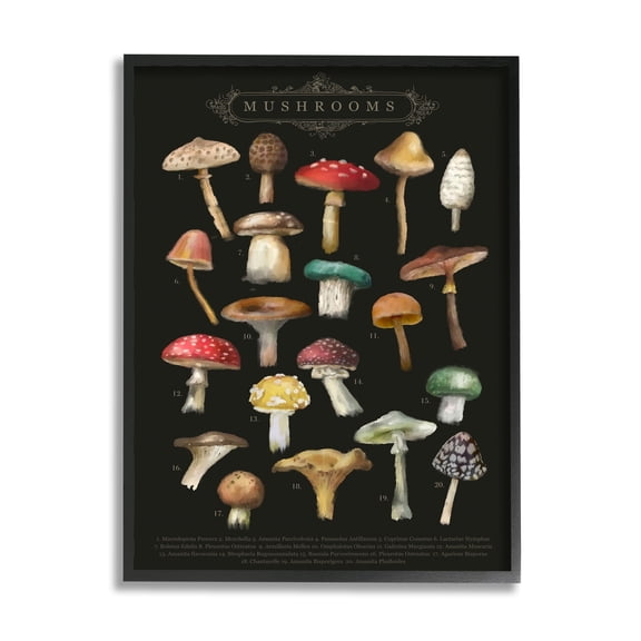 Stupell Industries Dark Informative Mushroom Chart Landscape Painting Black Framed Art Print Wall Art