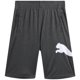 thumbnail image 1 of PUMA Pantalones cortos activos para niño - Pantalones cortos de baloncesto deportivos de secado rápido y transpirables con interlock para niños (tallas: 4-20) Talla 8 Charcoal Heather, 1 of 5