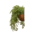 thumbnail image 2 of National Tree Company 20 Inch Artificial Pine Branch Hanging Plant, 2 of 4