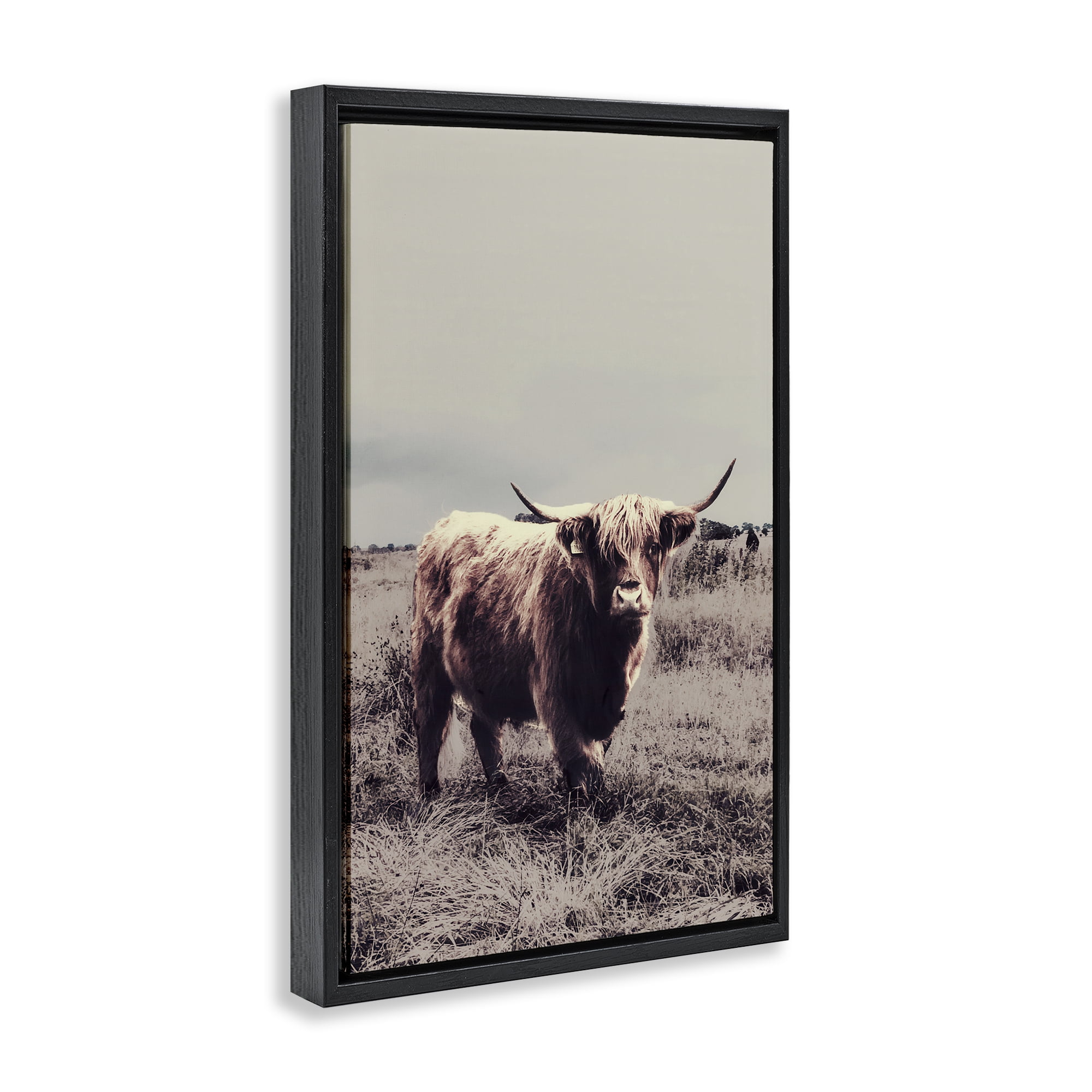 Stupell Industries Horned Cattle in Pasture Black Framed Floater Canvas Wall Art, design by SD Graphics Studio