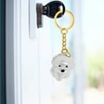 thumbnail image 3 of Pet Fur Remoke Capsule Collector Memorial Keychain (a), 3 of 7