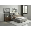 Signature Sleep Freedom 6 inch Memory Foam Mattress